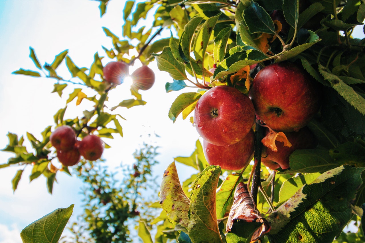Check Out These Top Hood River Activities For The Perfect Fall Trip HR