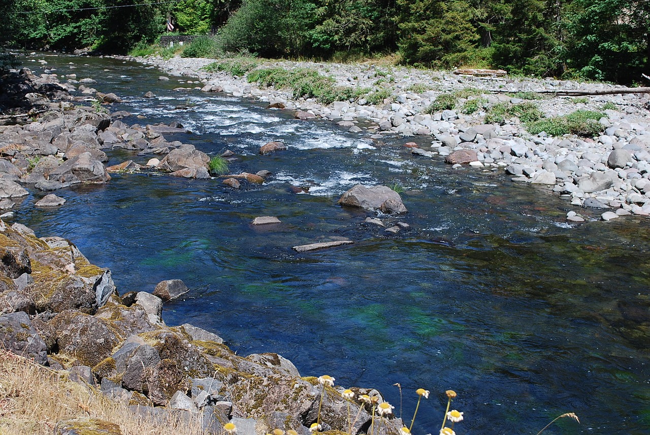 Hood River Activities